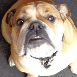 Meet your Posher, Rick